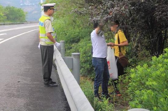 两人高速路边摘李子被抓现行