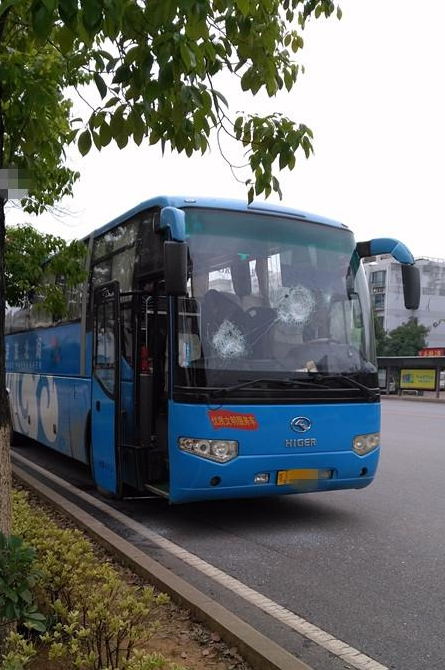 一旅游大巴在藏龙岛遭不明身份男子打砸