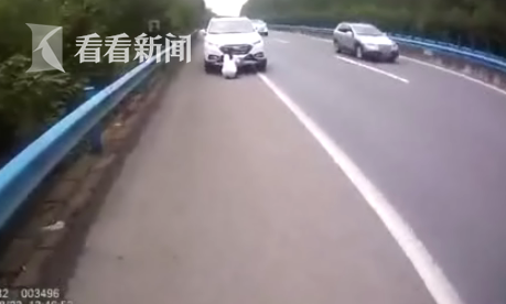 這位妹紙遮號牌太專心，被身后警察嚇到跳起