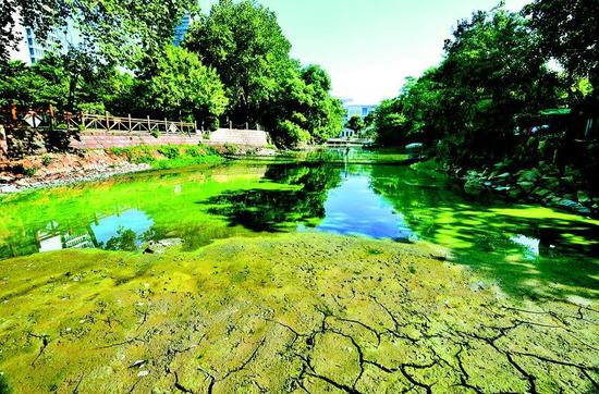 图为:水位下降后,部分地方露出了龟裂的湖底