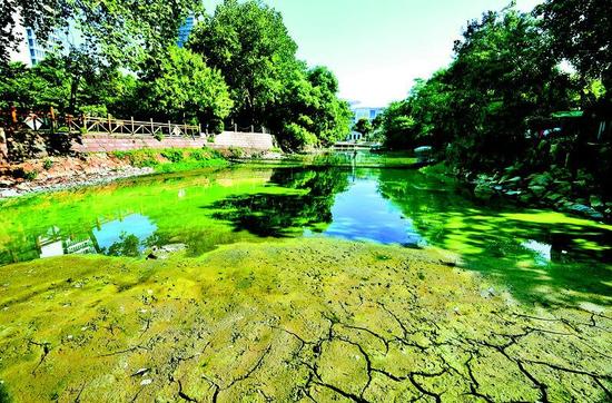 图为：水位下降后，部分地方露出了龟裂的湖底