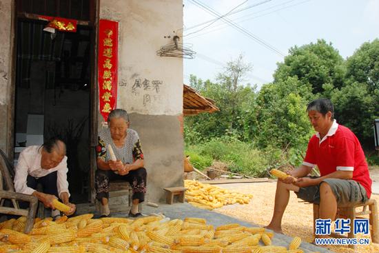 图为：严富荣养母李敬葵（左）、严富荣亲母张道兴（中）和严富荣。