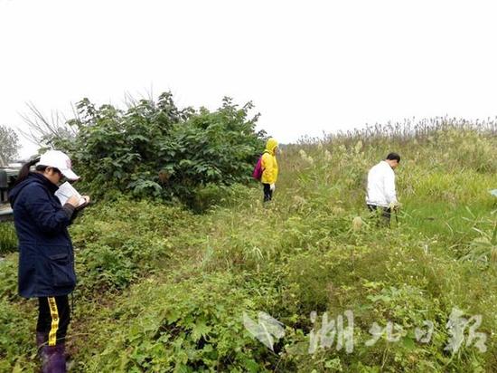 图五、科考队正在野外工作