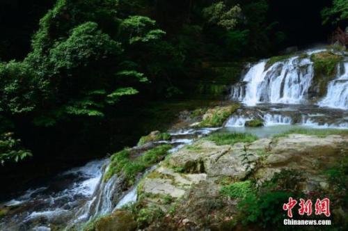 资料图:涌出泉水。