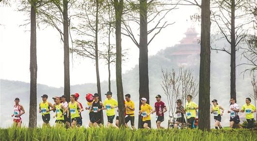 图为：武汉马拉松比赛期间，选手跑过风景如画的东湖绿道