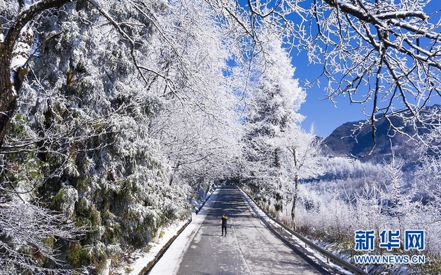 图为一场降雪过后，湖北省建始县的公路被装扮一新。