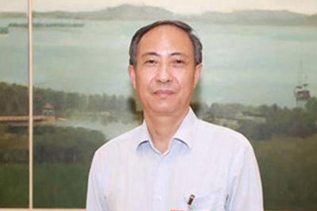 全國人大代表肖黎春：加大充電設(shè)施建設(shè) 優(yōu)化運營機制