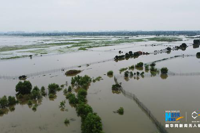 湖北荊門市防汛應急響應由Ⅲ級提升為Ⅱ級