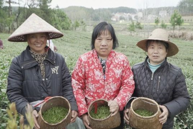 一村一景唱響農(nóng)業(yè)經(jīng)濟(jì)發(fā)展變奏曲