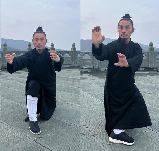 武当三丰派第十五代传人夏齐《龙华拳》展示