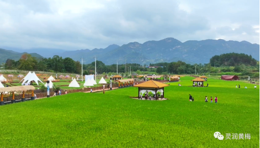 香樟园生态旅游区▲