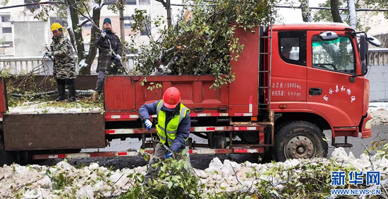 图为武汉园林工人清理树木断枝保障道路畅通。新华网发（武汉市园林和林业局供图）