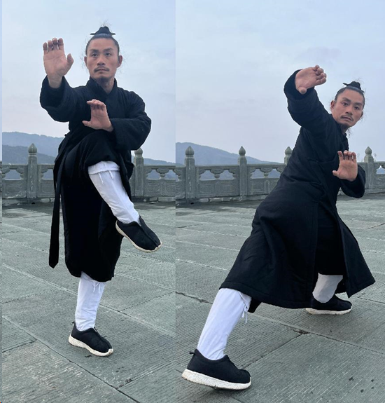 武当三丰派第十五代传人夏齐《龙华拳》展示