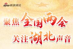 2020全國兩會新浪湖北專題