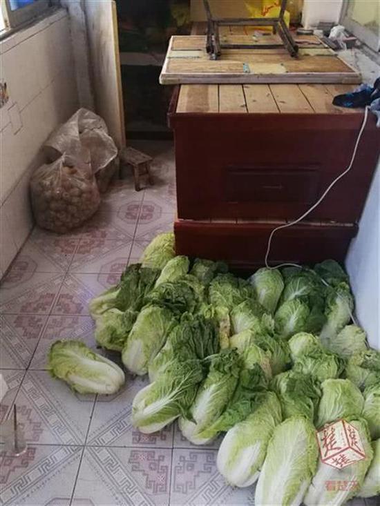 房内一堆土豆和白菜