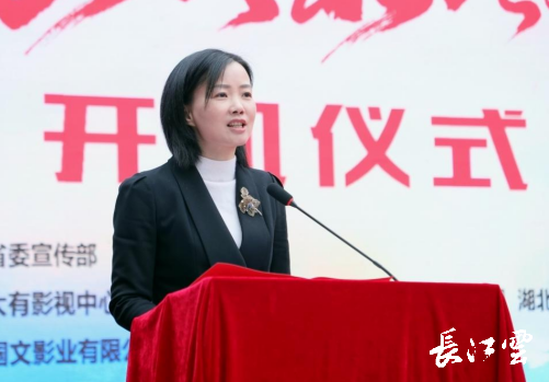 宣恩县委书记 习覃