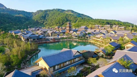 东山问梅村▲