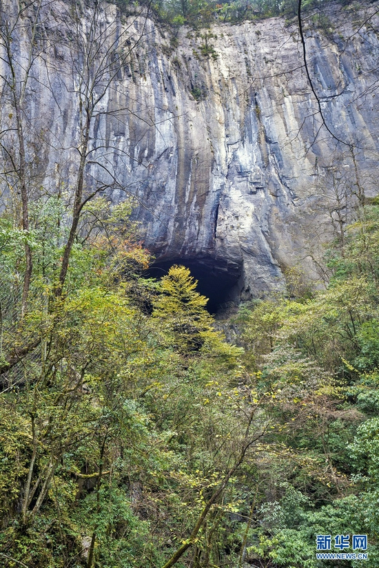 图为11月9日拍摄的湖北咸丰坪坝营国家森林公园中的巴神洞。
