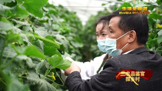 王海生 武汉农业检测中心研究员