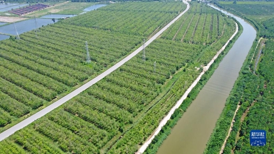 奋进新征程 建功新时代·非凡十年|天津:努力实现经济发展和民生改善良性循环