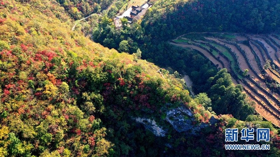 深秋时节,湖北省南漳县板桥镇冯家湾村的夹马寨景区层林尽染,秋色正浓。 新华网发 陶和典摄