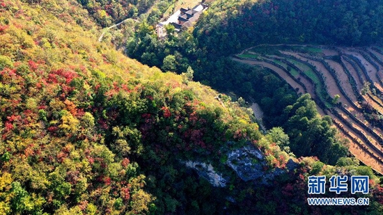 深秋时节，湖北省南漳县板桥镇冯家湾村的夹马寨景区层林尽染，秋色正浓。 新华网发 陶和典摄