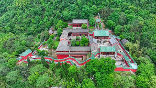 太子坡·武当悟学