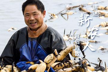 講述新農(nóng)人背后的故事