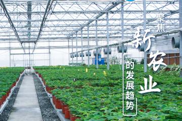 聚焦新農(nóng)業(yè)的發(fā)展趨勢(shì)