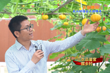 武漢種博會(huì)上探稀奇