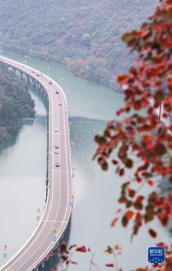 11月27日,车辆行驶在三峡库区湖北省宜昌市兴山县的“水上公路”上。 新华社发(郑家裕摄)