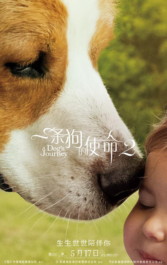 《一条狗的使命2》将于5月17感动上映