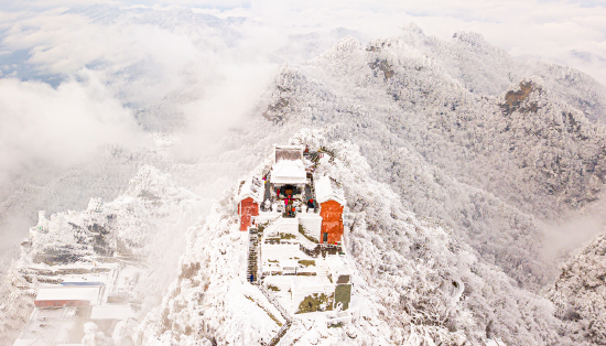 白雪丛中一点红 拍摄者：游尘