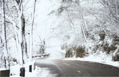 7日，适逢二十四节气中的大雪，武汉木兰山迎来初雪，银装素裹，如同仙境记者任勇 彭年 摄