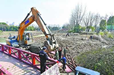 金银湖湿地公园香蒲塘改造升级 记者李永刚 摄