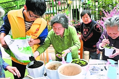 志愿者在养老院参加种植活动