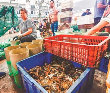 图为白沙洲大市场内，各种规格的螃蟹热销