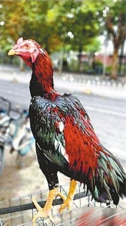 U8国际- U8国际官方网站- U8体育APP下载男生的坤巴塞入女生的坤巴 MBA智库