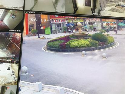图为黄狗在县城流窜