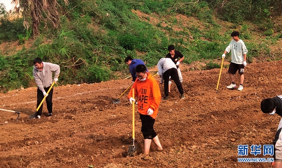 湖北大学通识教育学院的学生挖沟起垄，翻整土地，为种菜做准备。新华网发 朱恩举摄