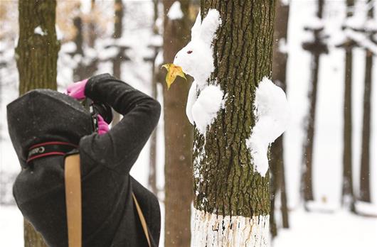 图为：东湖绿道内，树上的“雪兔”引起了游人的兴趣