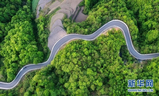 图为湖北省恩施市新塘乡校场坝村的公路蜿蜒曲折，宛若一条玉带镶嵌在林海之中。新华网发 张远明摄