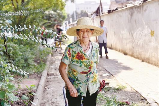 图为:72岁的郑菊先婆婆半年来义务清运垃圾