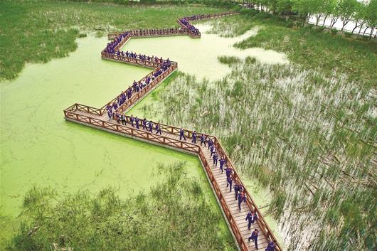 图为：武汉一家公司组织员工在金银湖绿道徒步