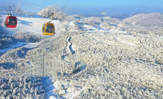 绿葱坡滑雪
