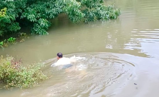 广水市武胜关镇南新村党支部书记姚行华纵身跃入湍急水流。（通讯员供图）