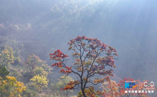 图为湖北大悟红叶景观。新华网发 毛峰摄