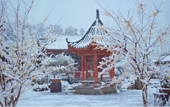 武汉东湖梅园踏雪寻梅