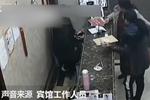 女子住賓館遺失雞蛋 打罵前臺(tái)抓傷民警