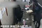 女子住宾馆遗失鸡蛋 打骂前台抓伤民警